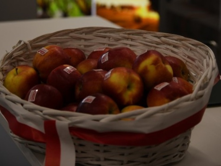OT KOWR w Białymstoku i Białostockie Centrum Onkologiczne razem na rzecz PRODUKTU POLSKIEGO – jabłka dla zdrowia!